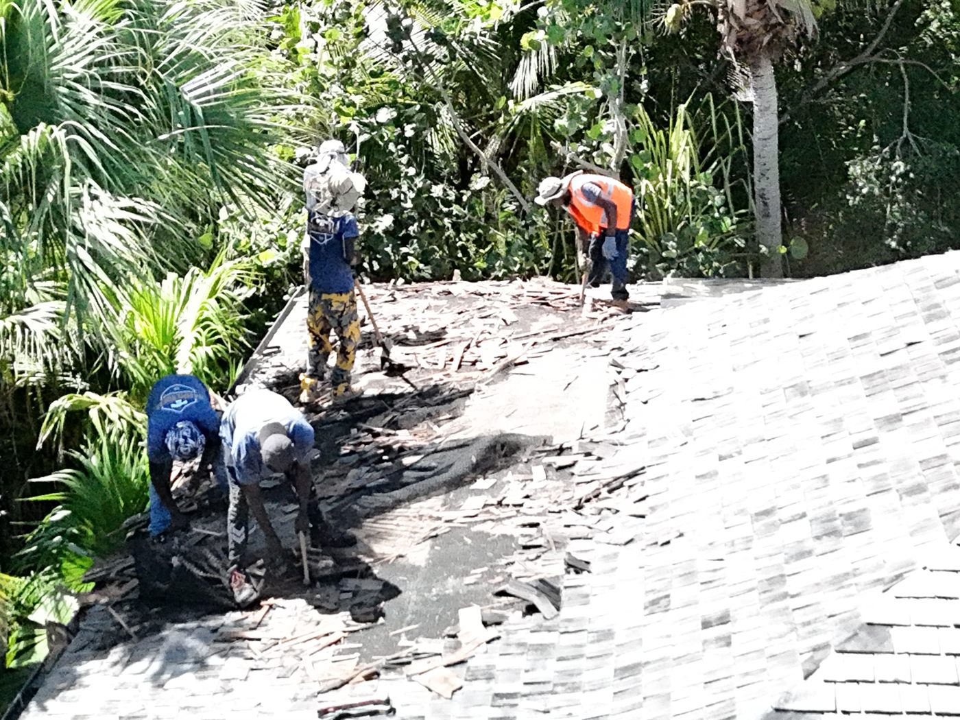 Hammerhead crew stripping old cedar shake on a Harbour Island roof