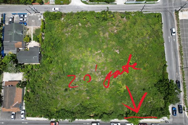 The lot, Dec 2025