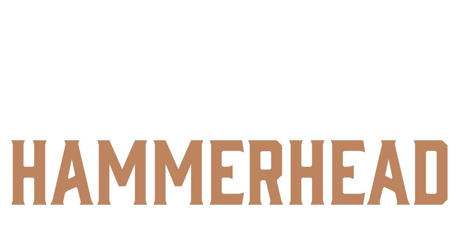Hammerhead Construction Co., established 2019